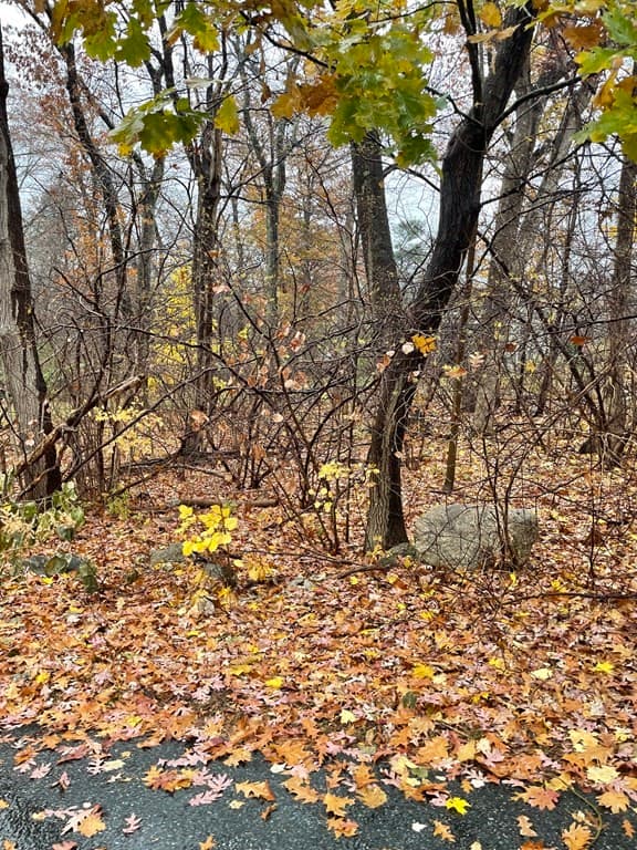 Casa em Billerica — foto 2