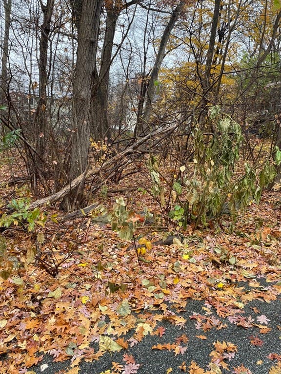 Casa em Billerica — foto 4