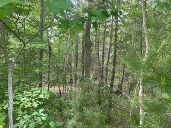 Casa em Middleboro — foto 4