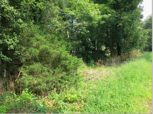 Casa em Norwell