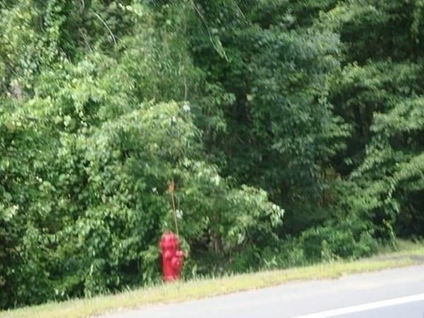 Terreno em Middleboro — foto 7