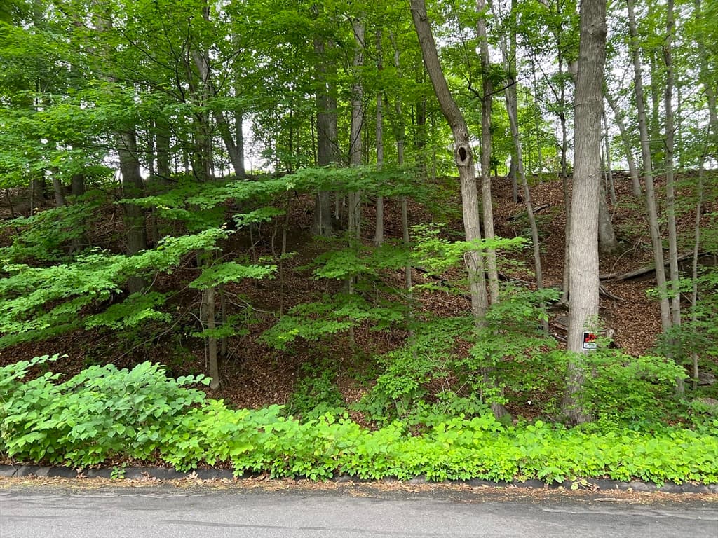 Casa em Longmeadow — foto 2
