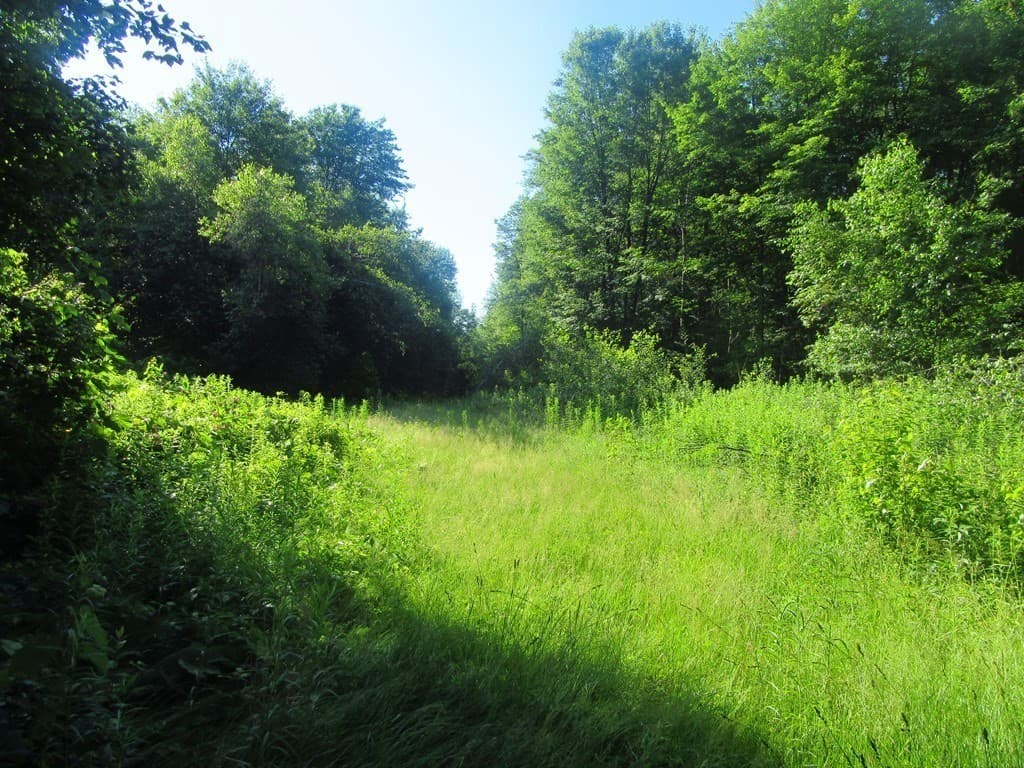 Imóvel em Uxbridge — foto 2