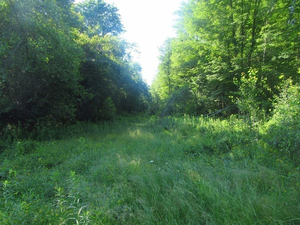 Imóvel em Uxbridge — foto 6
