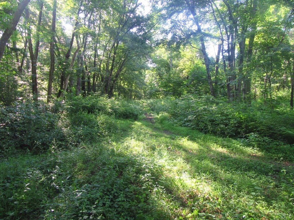 Imóvel em Uxbridge — foto 3