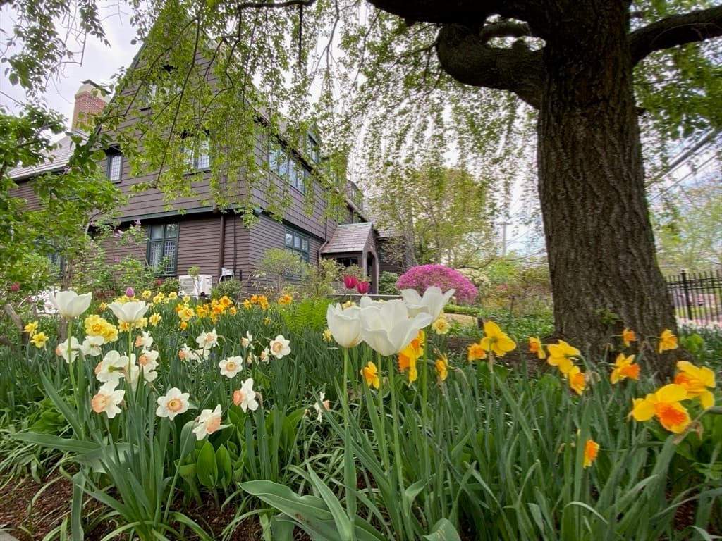 Casa em Cambridge — foto 7