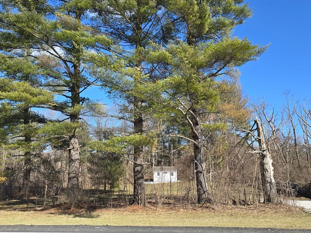 Terreno em Williamstown — foto 2
