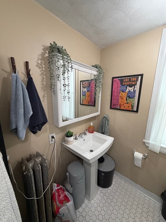 Multi-família em Somerville — foto 7