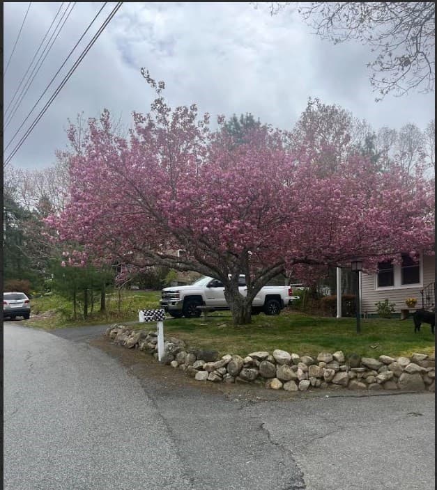 Casa em Bourne — foto 3
