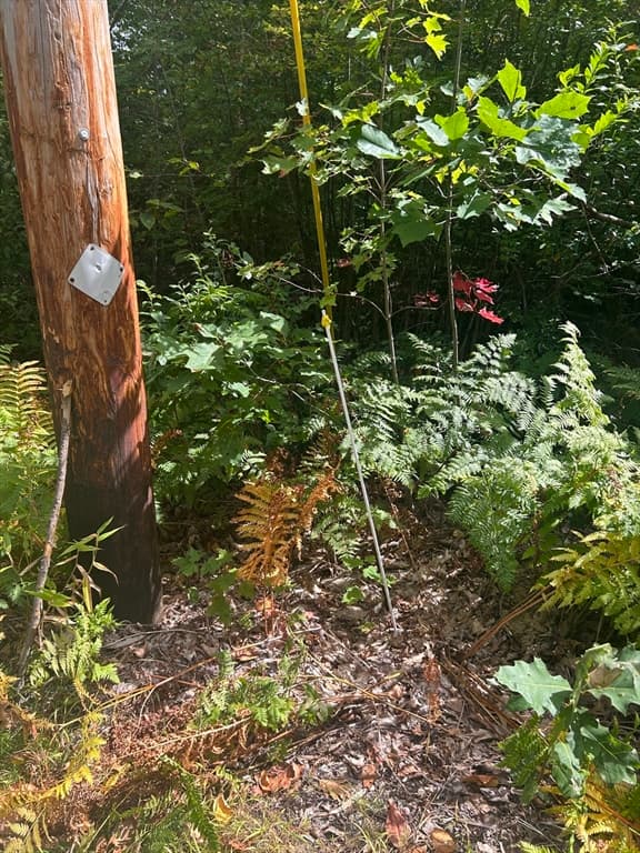 Terreno em Ashby — foto 7