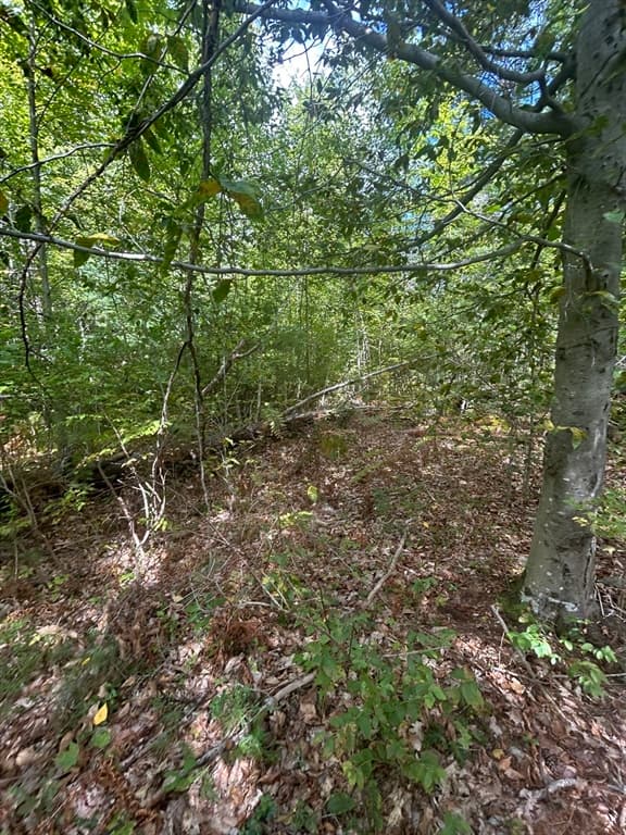 Terreno em Ashby — foto 3