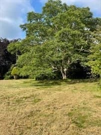 Casa em Dartmouth — foto 7