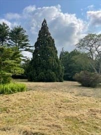 Casa em Dartmouth — foto 5