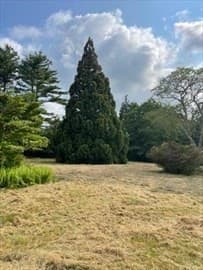 Casa em Dartmouth — foto 4