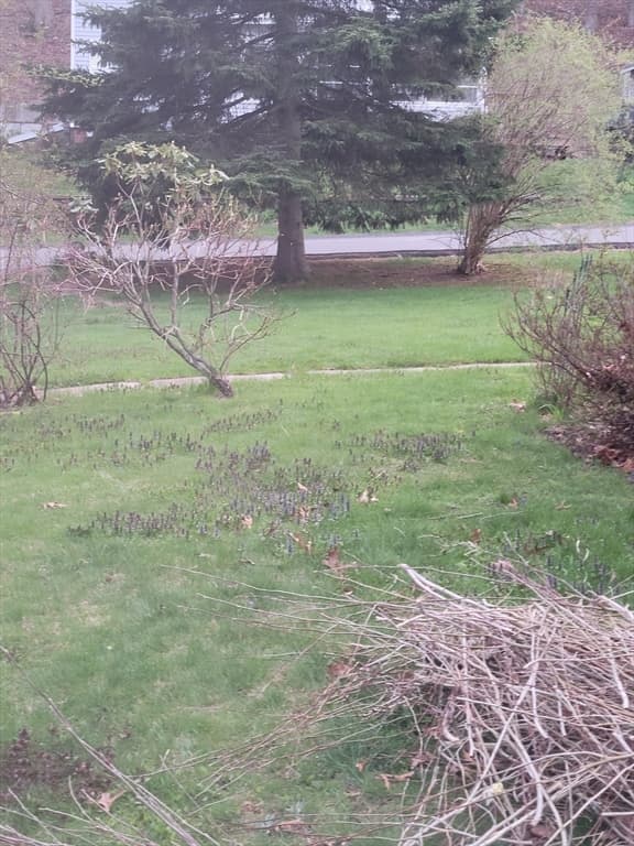 Casa em Haverhill — foto 7