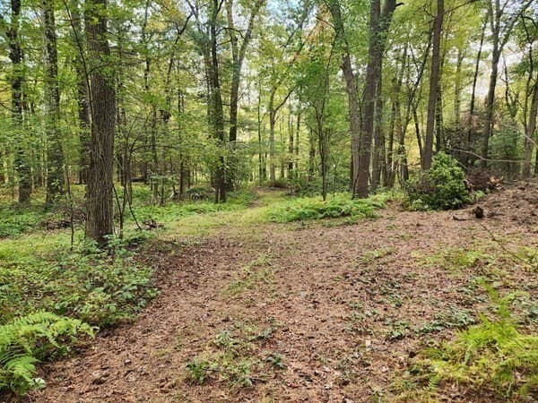 Casa em East Longmeadow — foto 9