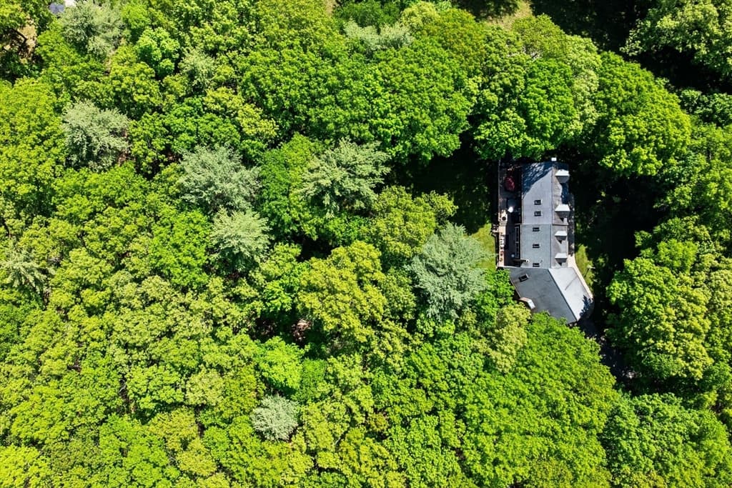 Casa em Groveland — foto 4
