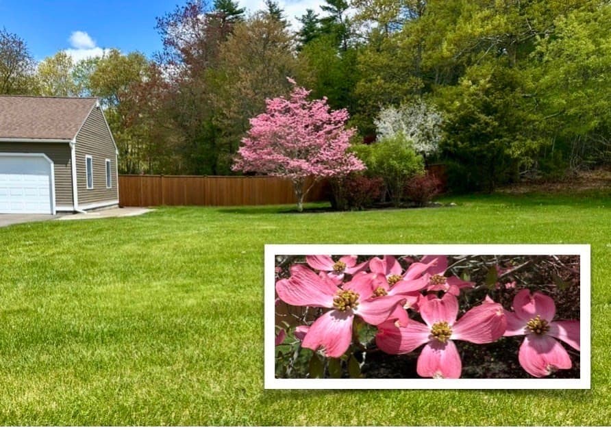 Casa em Lakeville — foto 2