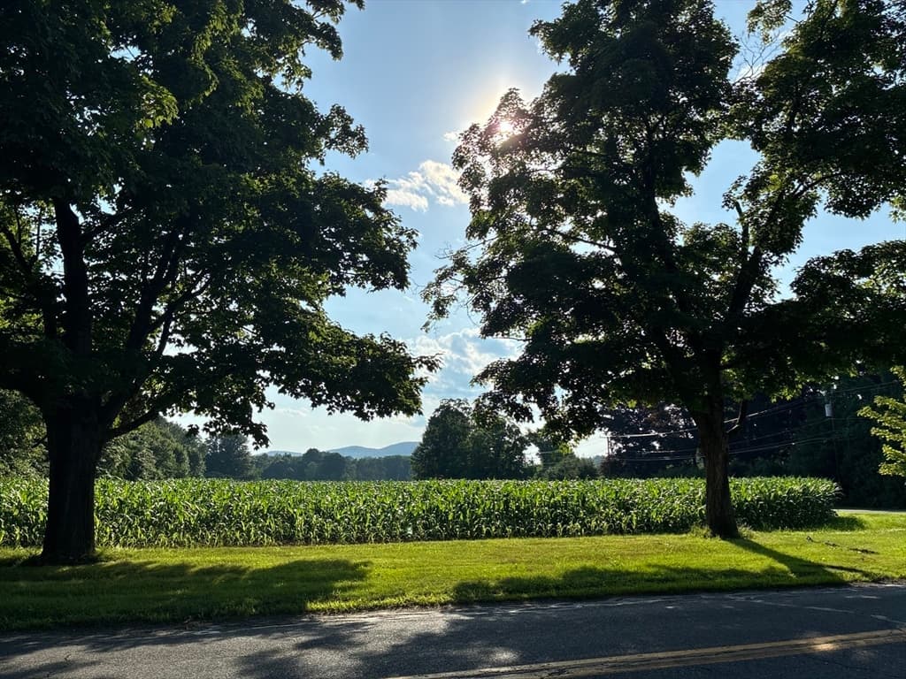 Casa em South Hadley — foto 6
