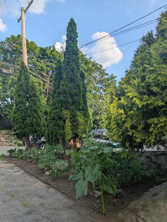 Casa em Lynn — foto 4