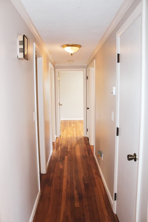 Casa em Blackstone — foto 5