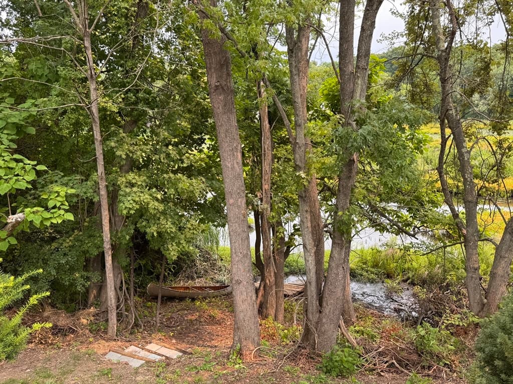 Casa em Chelmsford — foto 7