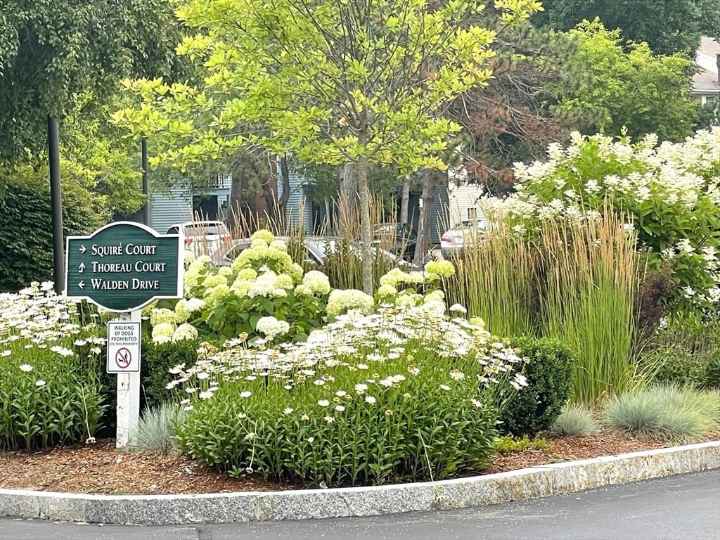 Condomínio em Natick — foto 2